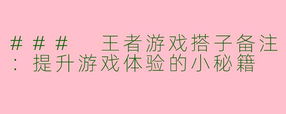 ### 王者游戏搭子备注：提升游戏体验的小秘籍