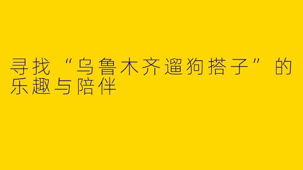 寻找“乌鲁木齐遛狗搭子”的乐趣与陪伴
