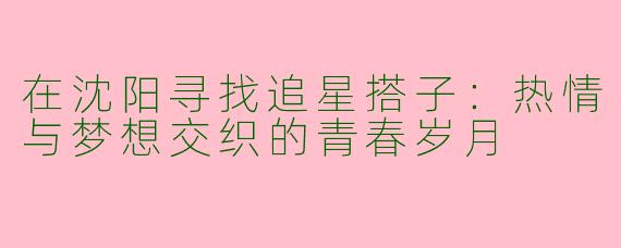 在沈阳寻找追星搭子：热情与梦想交织的青春岁月