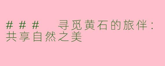 ### 寻觅黄石的旅伴：共享自然之美