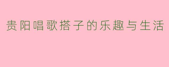 贵阳唱歌搭子的乐趣与生活