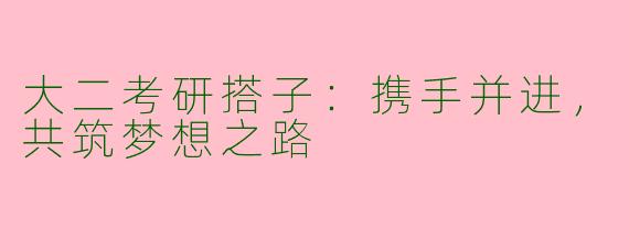 大二考研搭子:携手并进,共筑梦想之路