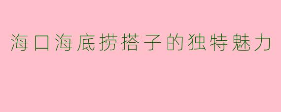 海口海底捞搭子的独特魅力