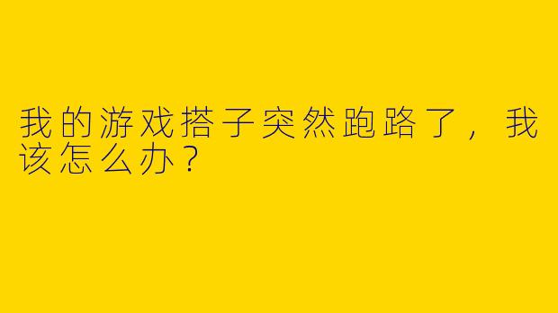 我的游戏搭子突然跑路了,我该怎么办?