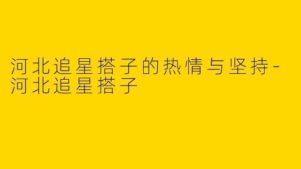 河北追星搭子的热情与坚持