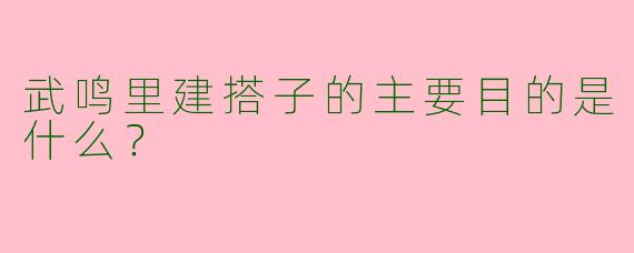 武鸣里建搭子的主要目的是什么？