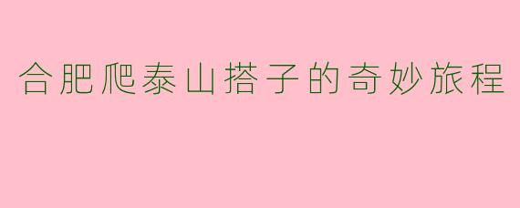 合肥爬泰山搭子的奇妙旅程
