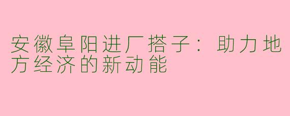 安徽阜阳进厂搭子：助力地方经济的新动能