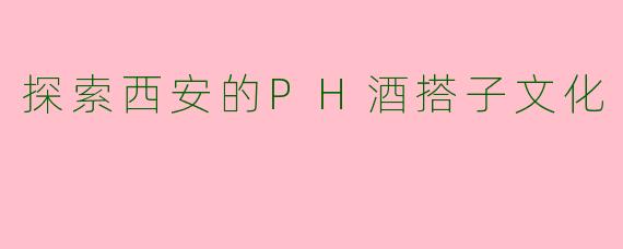 探索西安的PH酒搭子文化