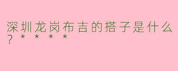 深圳龙岗布吉的搭子是什么？****