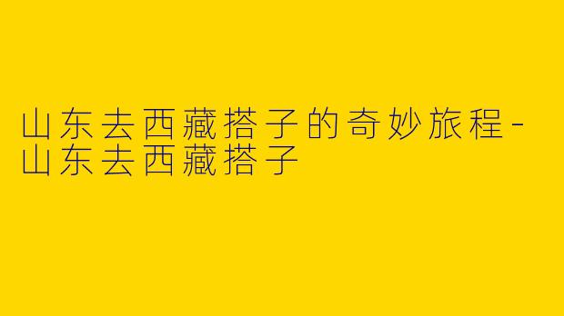 山东去西藏搭子的奇妙旅程-山东去西藏搭子