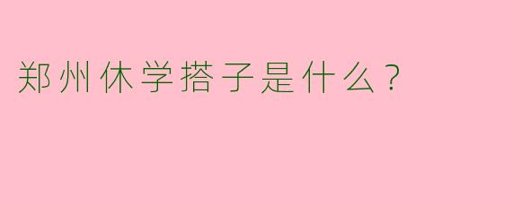 郑州休学搭子是什么?