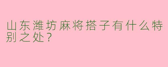山东潍坊麻将搭子有什么特别之处?