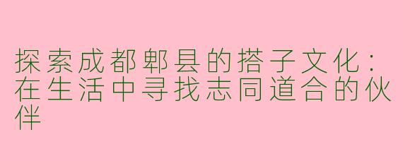 探索成都郫县的搭子文化：在生活中寻找志同道合的伙伴