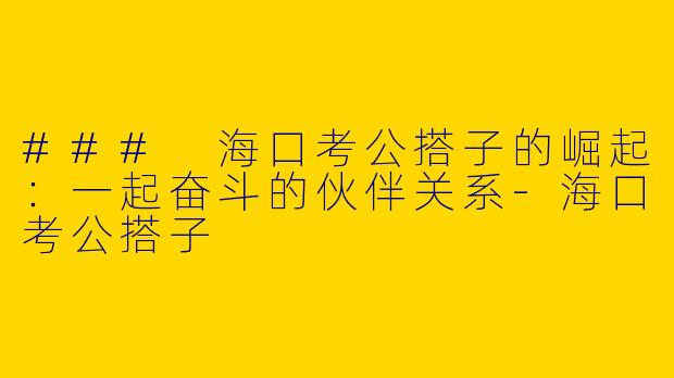### 海口考公搭子的崛起：一起奋斗的伙伴关系-海口考公搭子
