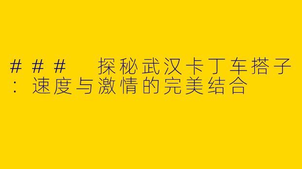 ### 探秘武汉卡丁车搭子：速度与激情的完美结合