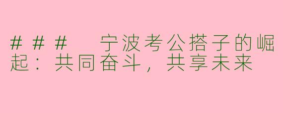 ### 宁波考公搭子的崛起：共同奋斗，共享未来