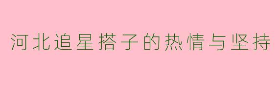 河北追星搭子的热情与坚持