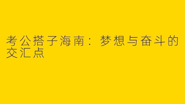 考公搭子海南:梦想与奋斗的交汇点