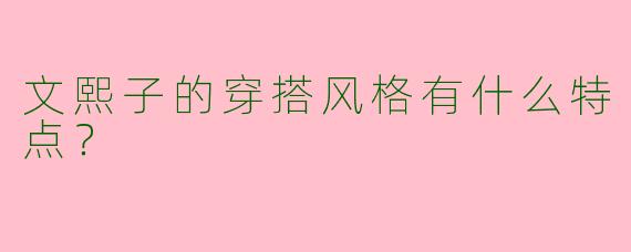 文熙子的穿搭风格有什么特点？