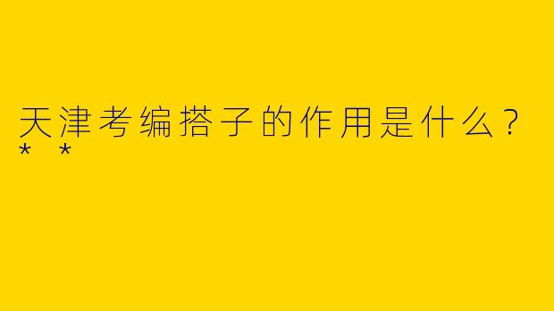 天津考编搭子的作用是什么？**