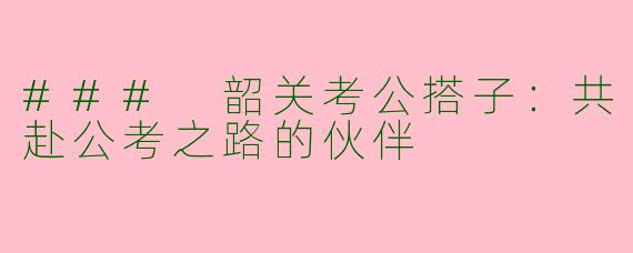 ### 韶关考公搭子：共赴公考之路的伙伴