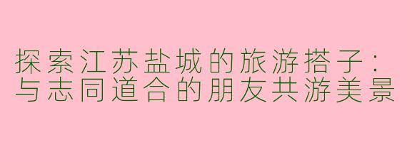 探索江苏盐城的旅游搭子：与志同道合的朋友共游美景