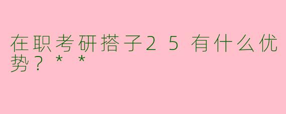 在职考研搭子25有什么优势？**