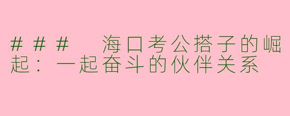 ### 海口考公搭子的崛起：一起奋斗的伙伴关系