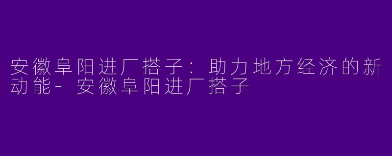 安徽阜阳进厂搭子：助力地方经济的新动能