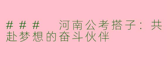 ### 河南公考搭子：共赴梦想的奋斗伙伴