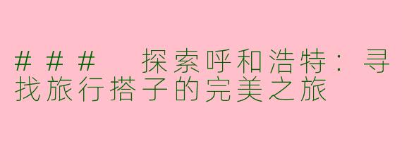 ### 探索呼和浩特：寻找旅行搭子的完美之旅