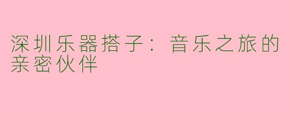 深圳乐器搭子：音乐之旅的亲密伙伴