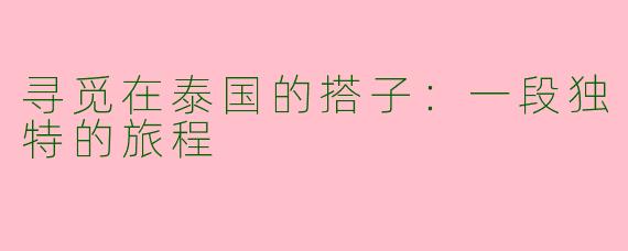 寻觅在泰国的搭子：一段独特的旅程