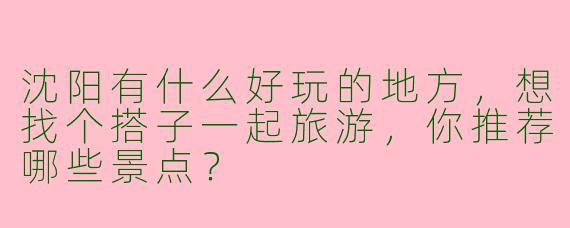 沈阳有什么好玩的地方，想找个搭子一起旅游，你推荐哪些景点？