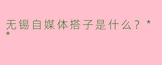 无锡自媒体搭子是什么?**