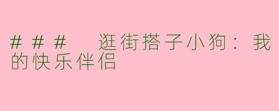 ### 逛街搭子小狗：我的快乐伴侣