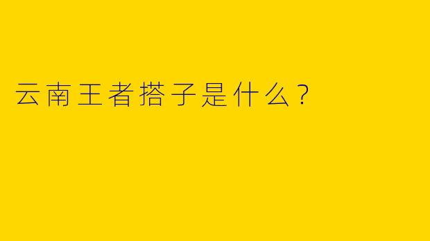 云南王者搭子是什么?