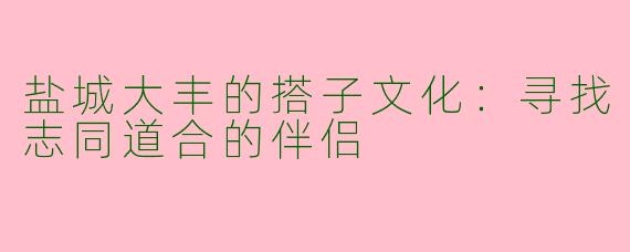 盐城大丰的搭子文化：寻找志同道合的伴侣