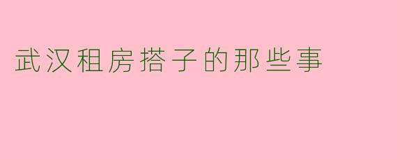 武汉租房搭子的那些事
