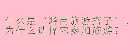 什么是“黔南旅游搭子”,为什么选择它参加旅游?