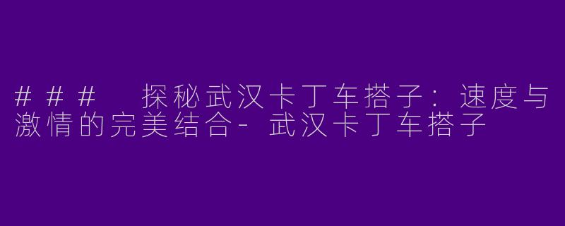 ### 探秘武汉卡丁车搭子：速度与激情的完美结合-武汉卡丁车搭子
