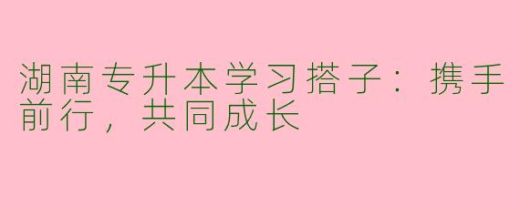 湖南专升本学习搭子：携手前行，共同成长