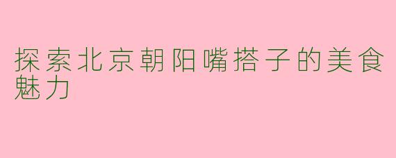 探索北京朝阳嘴搭子的美食魅力