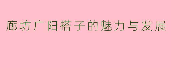 廊坊广阳搭子的魅力与发展