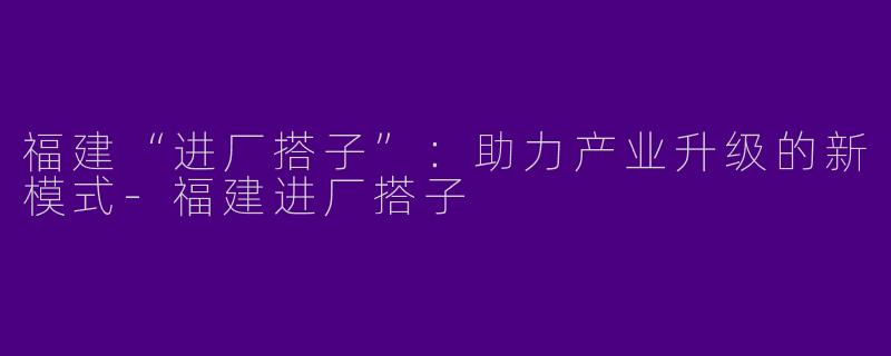 福建“进厂搭子”:助力产业升级的新模式