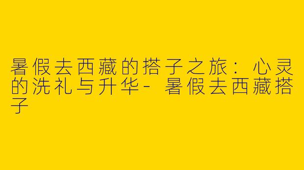 暑假去西藏的搭子之旅：心灵的洗礼与升华-暑假去西藏搭子