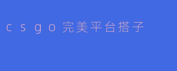 寻觅CS:GO完美搭子：一场游戏中的完美合作