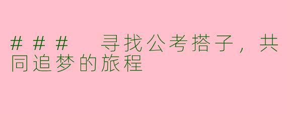 ### 寻找公考搭子,共同追梦的旅程