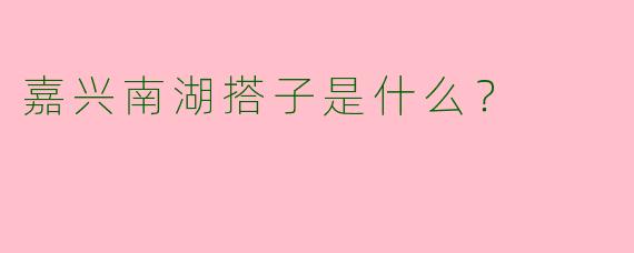 嘉兴南湖搭子是什么？  
